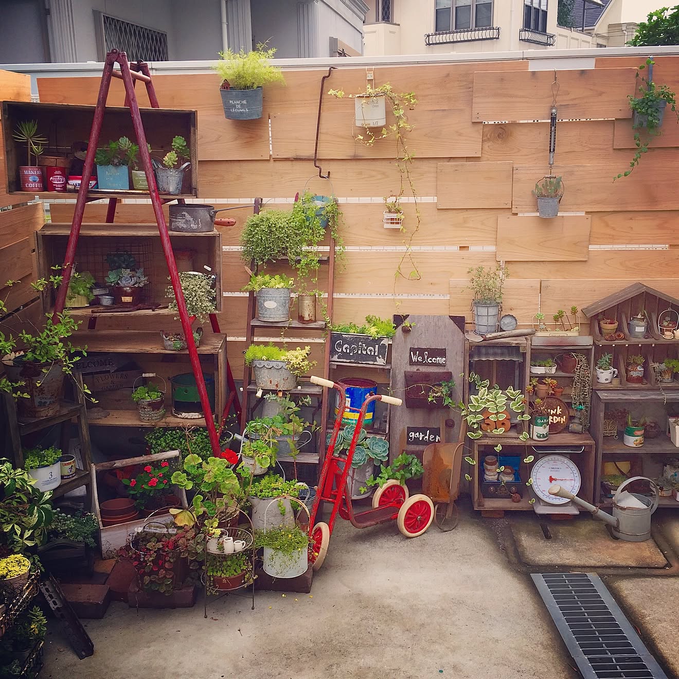 部屋全体/多肉の寄せ植え/空き缶/NO GREEN NO LIFE/多肉棚&hellip;などのインテリア実例 20160625 0805