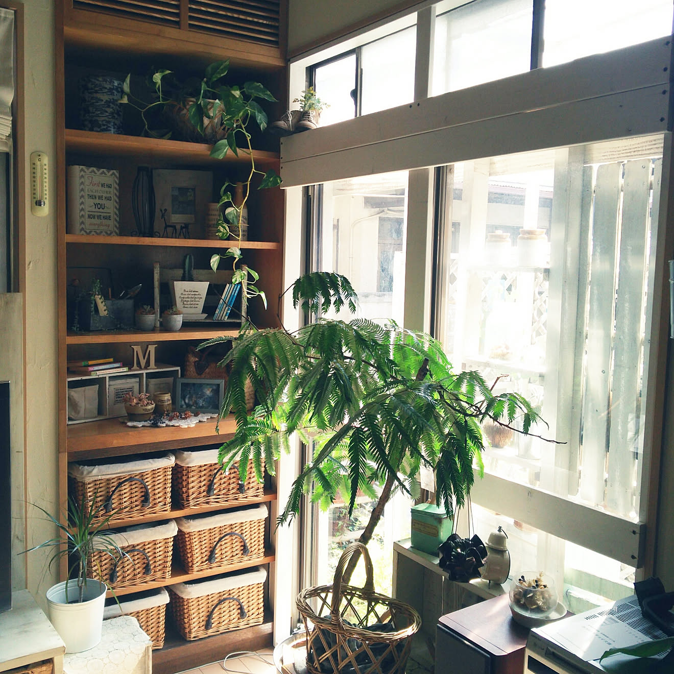 リビング/吐き出し窓/観葉植物のある暮らし/いいね！ありがとうございます♪/飾り棚&hellip;などのインテリア実例 20171010 12