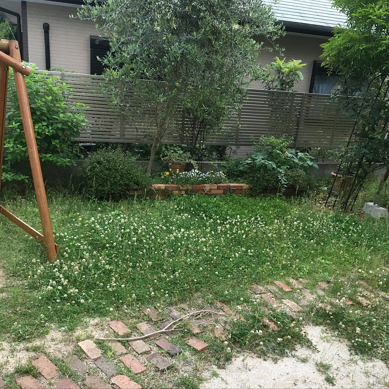 玄関/入り口/ワイヤープランツ 増えすぎ/レンガの小道が埋もれてます/レンガの小道DIY/花壇 手作り&hellip;などのインテリア実例 2018