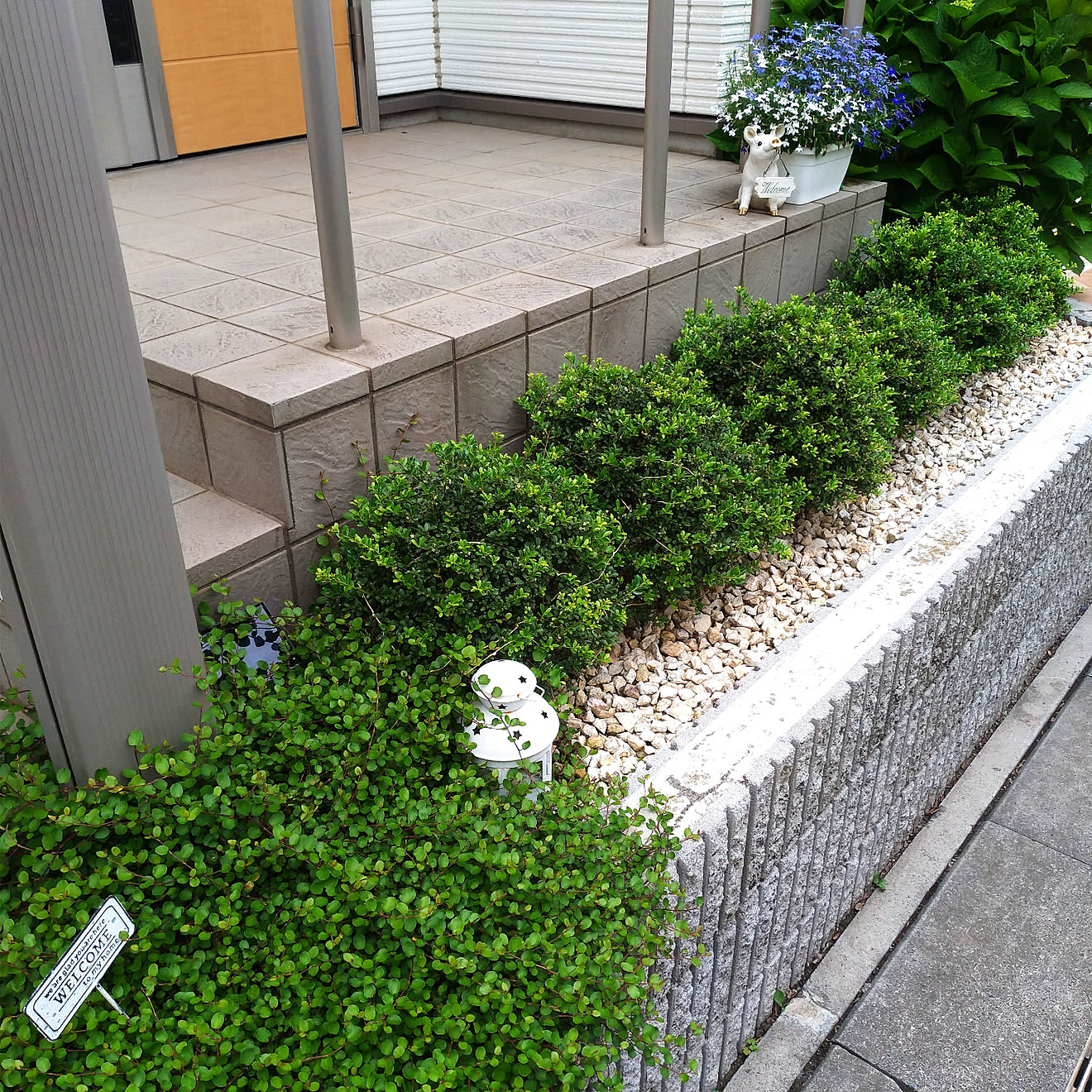 玄関/入り口/ワイヤープランツ/ツゲの木/砂利/玄関アプローチのインテリア実例 20200607 214906