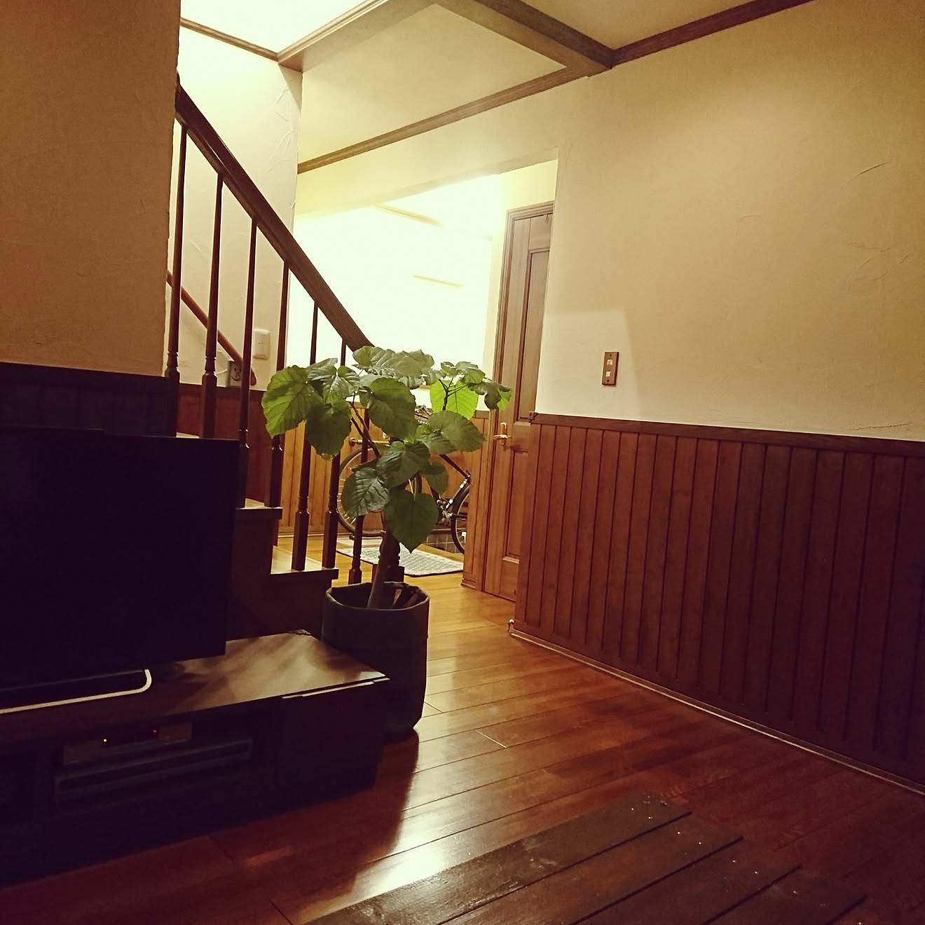 部屋全体/リビングからの玄関/ウンベラータ/腰板壁/珪藻土の壁&hellip;などのインテリア実例 20180819 013332