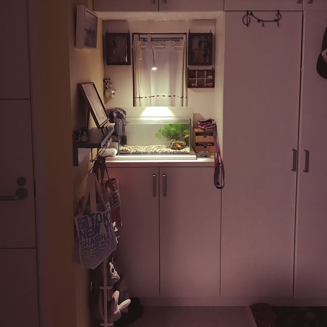 玄関/入り口/水槽/金魚/金魚水槽のインテリア実例 20180723 191414 ｜ RoomClip（ルームクリップ）