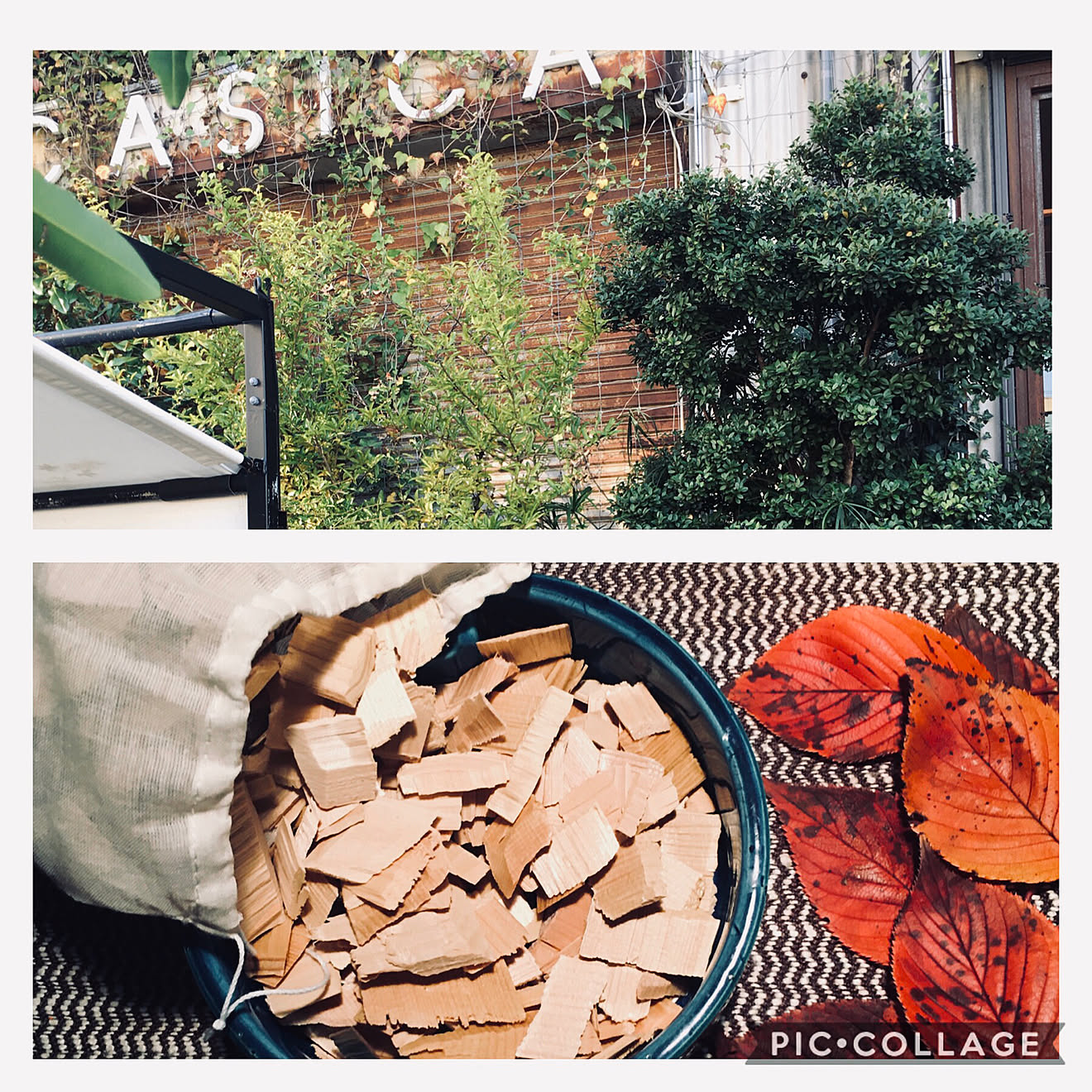 インテリア 紅葉