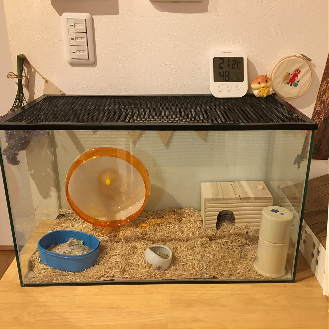 ガラス水槽/ハムスターケージ/ハムスター飼ってます ̈♥︎/部屋全体/フォローすごく嬉しいです♡...などのインテリア実例 - C9957c7f8c0a94991aecD0a8af4523b1e0768fcc