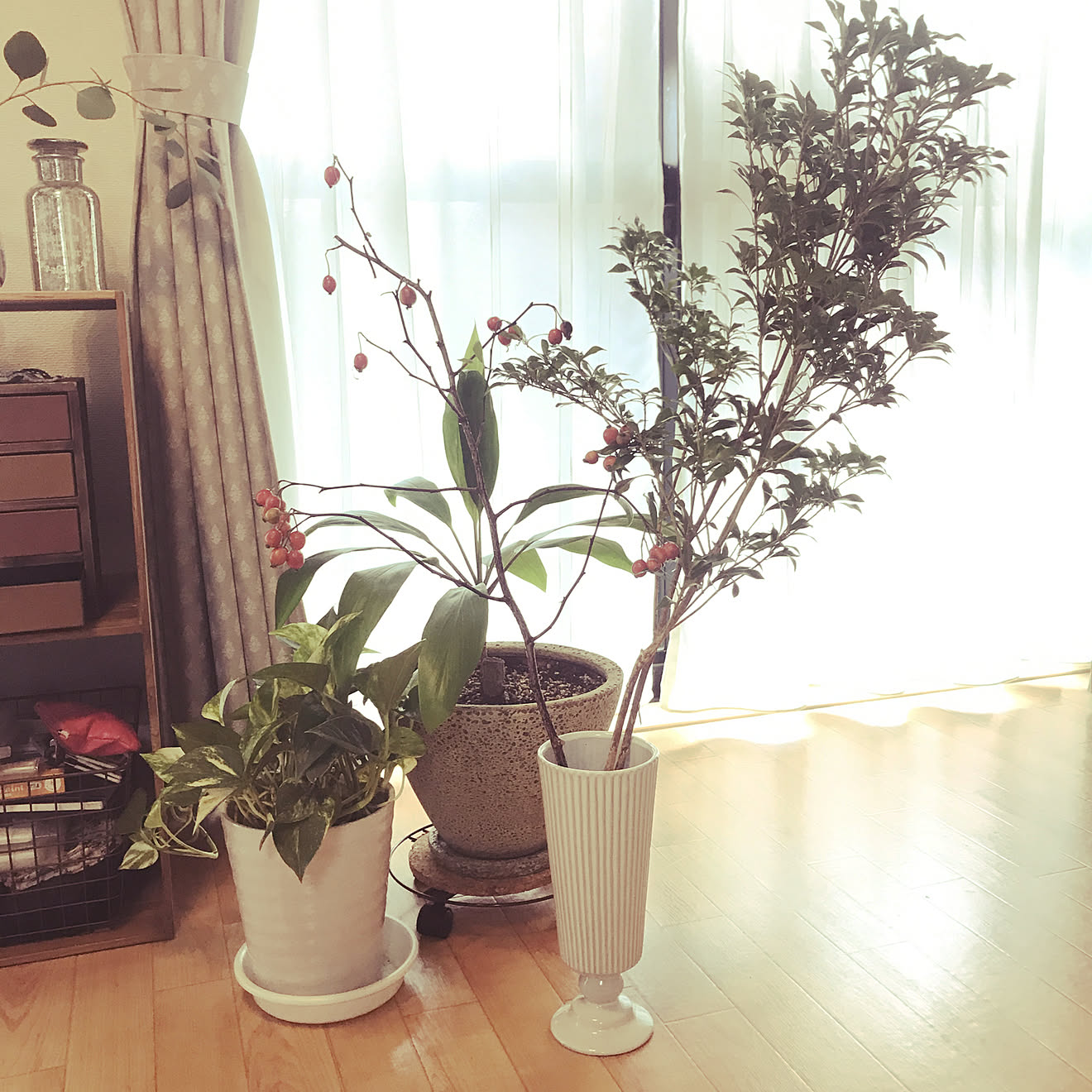 寝室/観葉植物/花/ベッド周りのインテリア実例 20200922 163003 | RoomClip(ルームクリップ) 寝室/観葉植物/花/ベッド周りのインテリア実例 20200922 163003 | RoomClip(ルームクリップ)