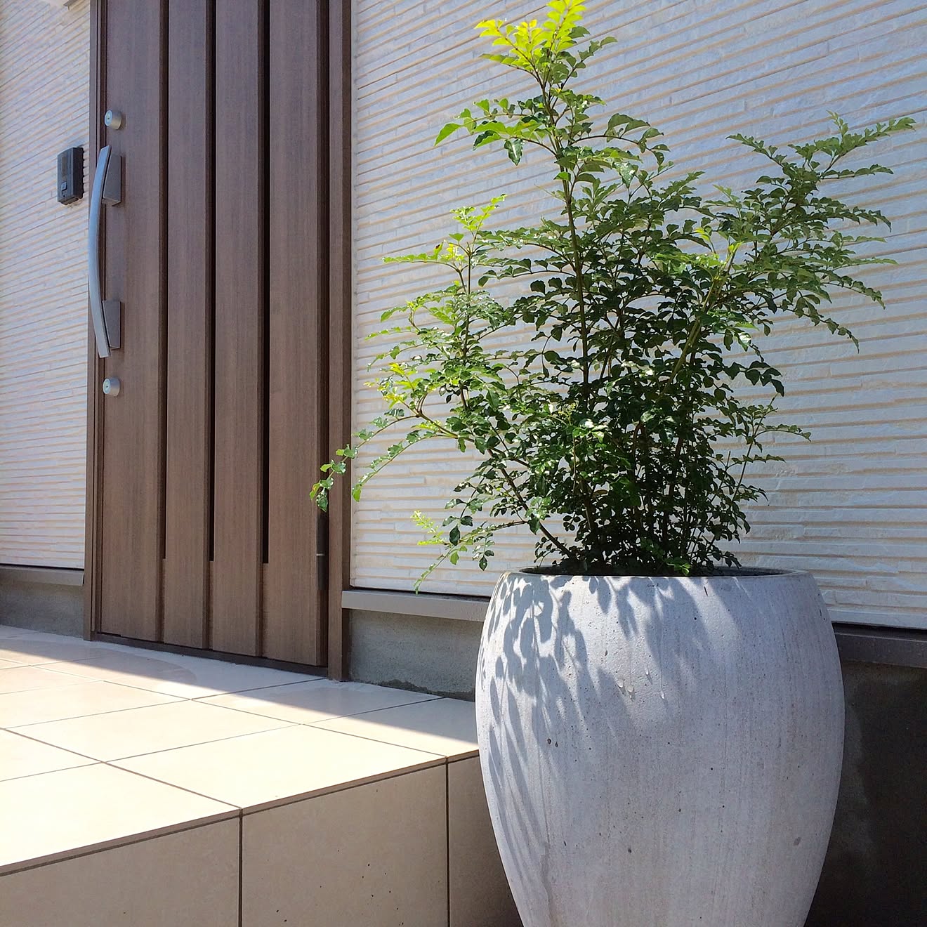 玄関 先 に 植える 花 風水