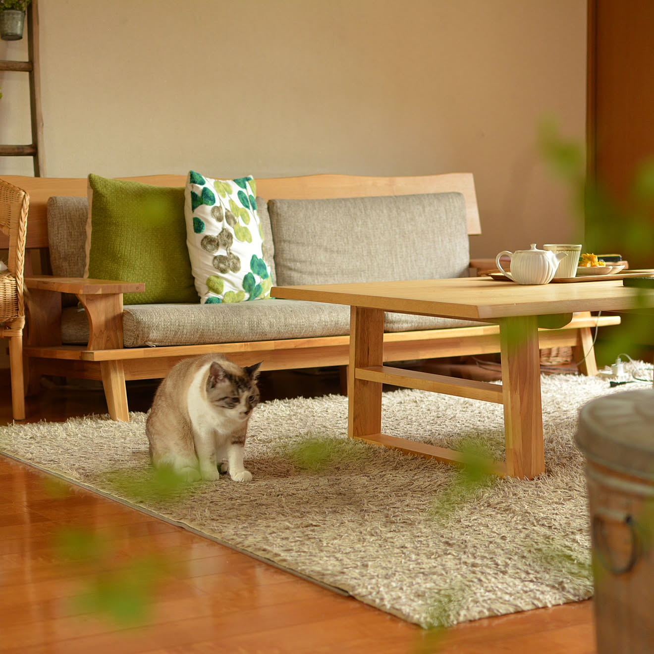 ニトリのソファー/ニトリ/猫のいる風景/猫のいる暮らし/猫のいる日常&hellip;などのインテリア実例 20190705 141259