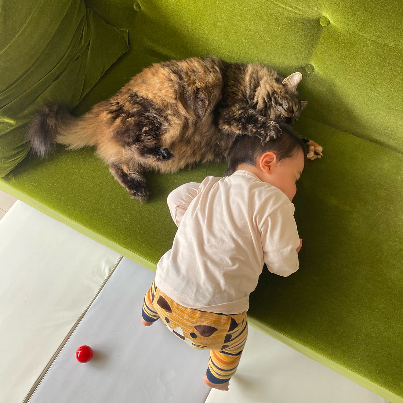 爪とぎに強いソファ/猫の爪に強いソファ/モケットグリーンソファ/もなかちゃん/1歳児&hellip;などのインテリア実例 20210330 11