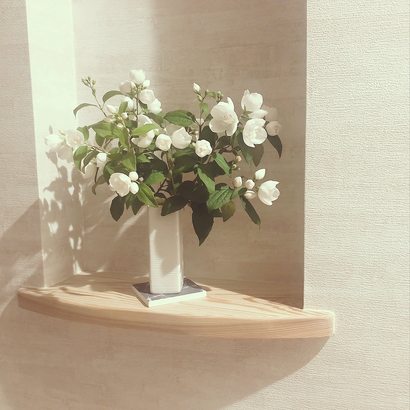 花のある暮らし/植物のある暮らし/玄関内/玄関クロス/ニッチディスプレイ&hellip;などのインテリア実例 20200525 112104
