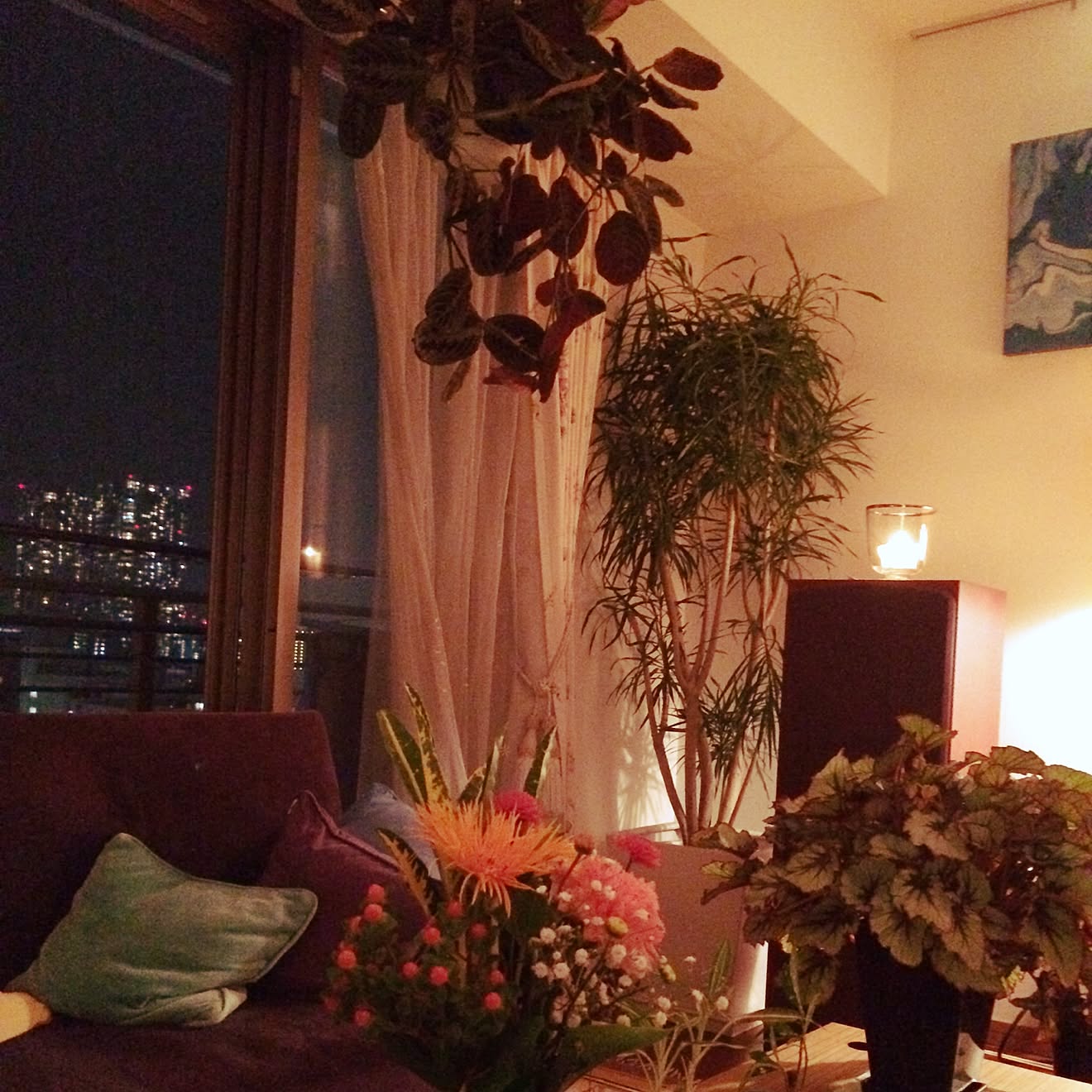 リビング/観葉植物/植物/照明のインテリア実例 20150207 234049 ｜ RoomClip（ルームクリップ）