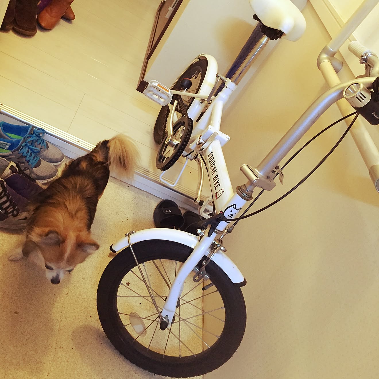 お父さん 自転車