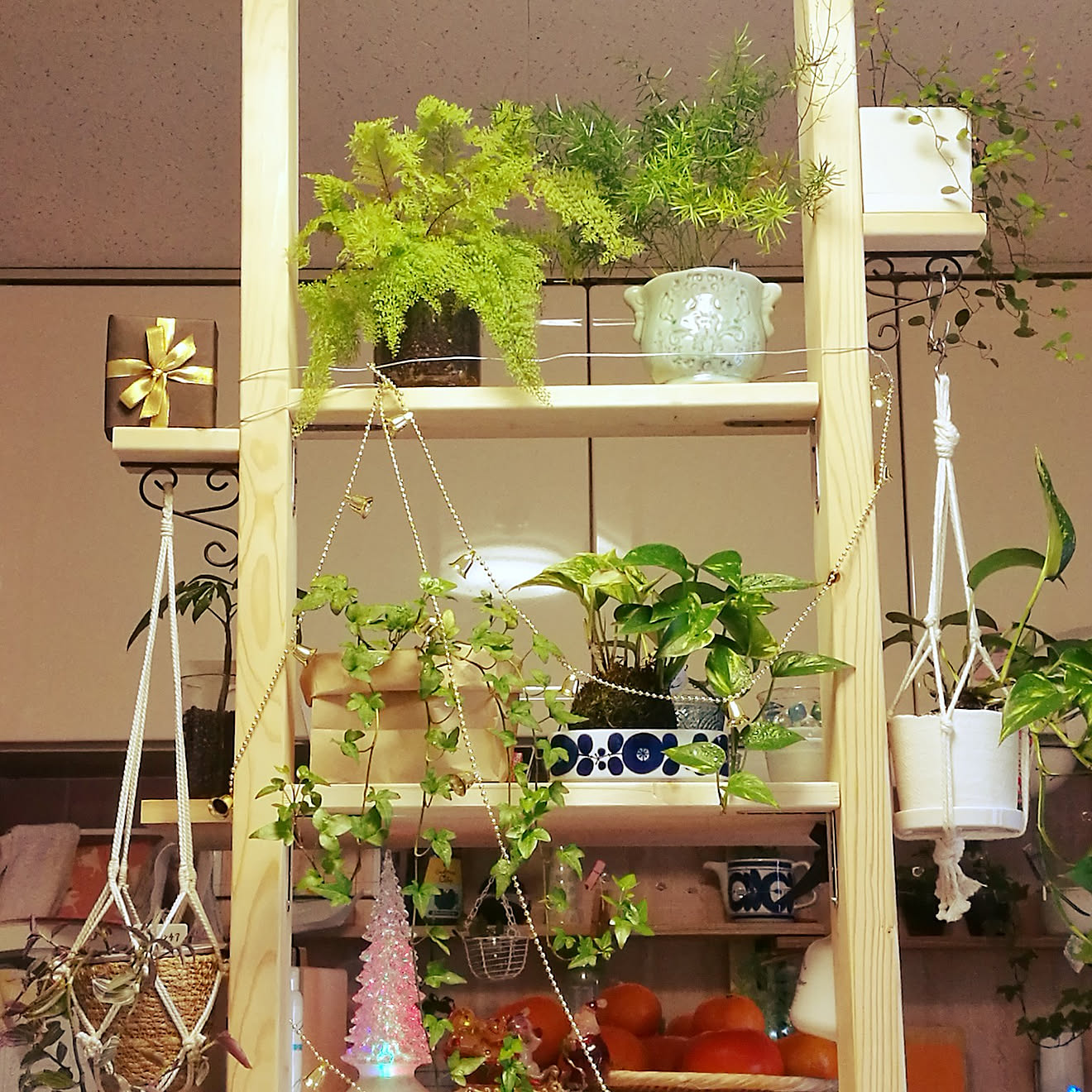 棚/観葉植物/DIYのインテリア実例 20201212 142437 ｜ RoomClip（ルームクリップ）