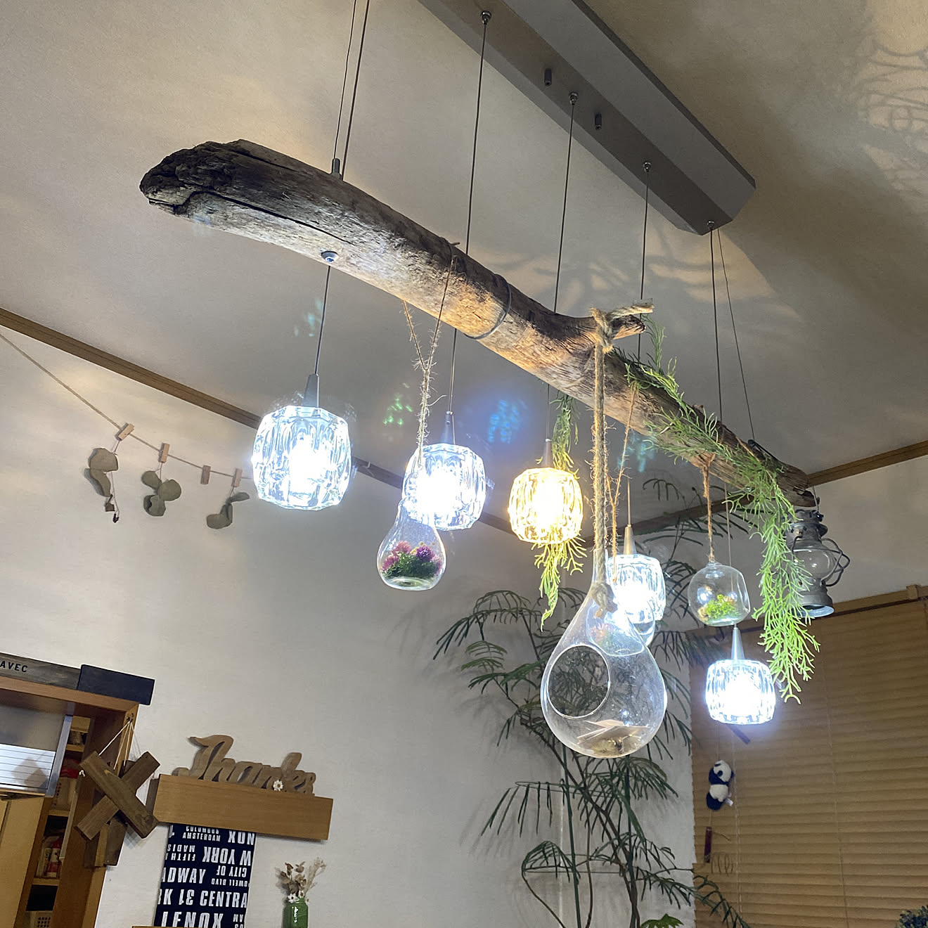 ライト/LED電球/観葉植物/観葉植物のある部屋/雑貨...などのインテリア実例 20200827 221647 | RoomClip(ルームクリップ) ライト/LED電球/観葉植物/観葉植物のある部屋/雑貨...などのインテリア実例 20200827 221647 | RoomClip(ルームクリップ)