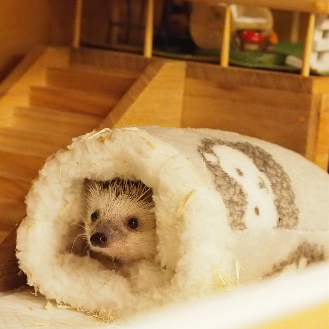 ハリネズミ寝袋 R32sama 【公式通販】