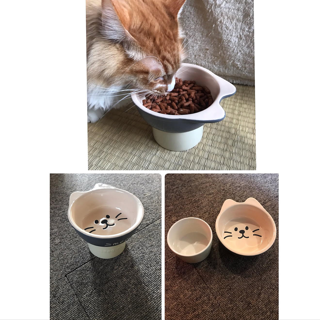 「猫ちゃんも喜ぶ♪器を貼り合わせるだけでできる、ペット用フードボール」 by okadajapanさん