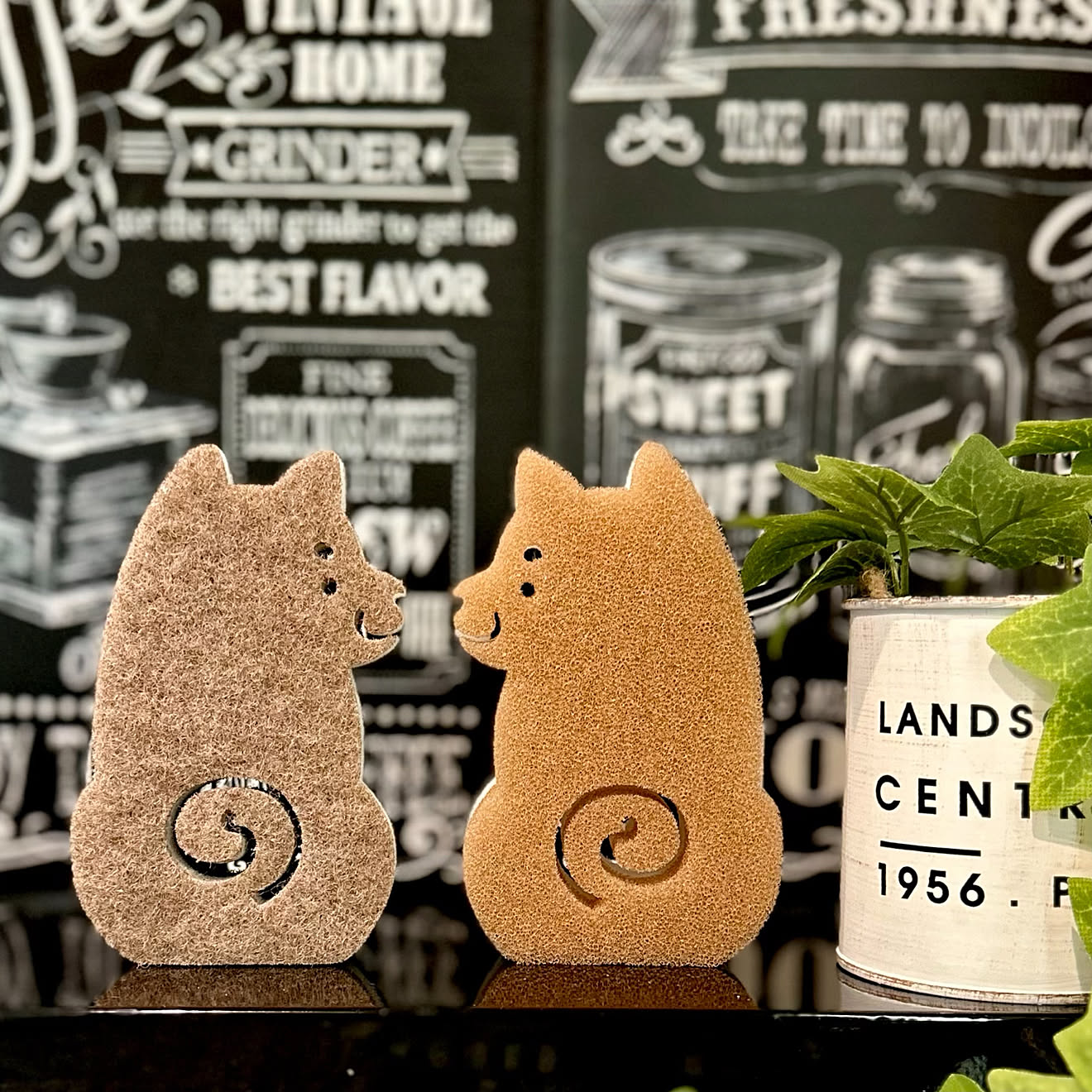 明日さっそく寄りたくなる♪みんながキャンドゥで買ってよかったもの