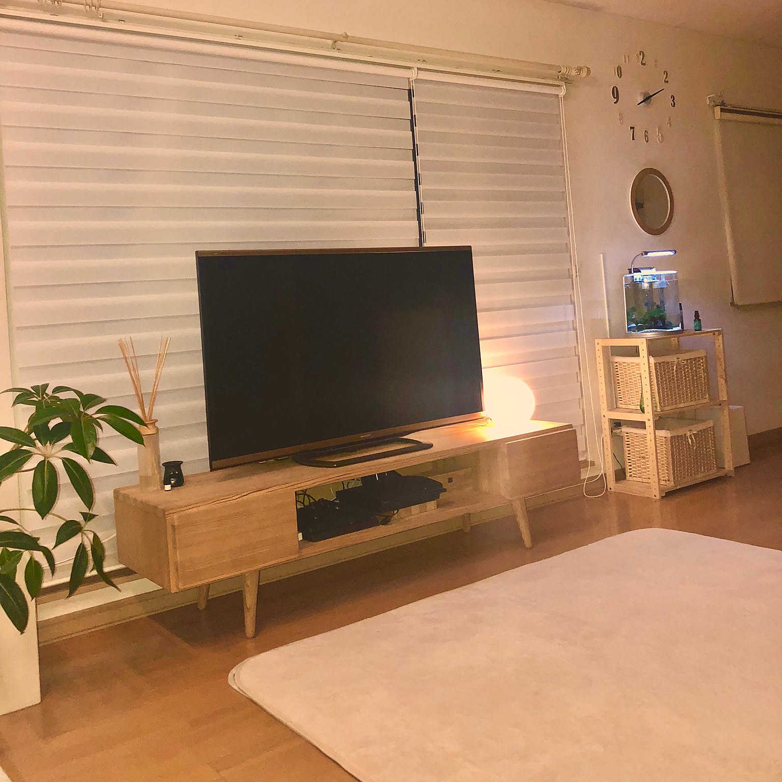 壁/天井/アクアリウム/テレビ周り/北欧/観葉植物&hellip;などのインテリア実例 20180831 202622 ｜ RoomClip