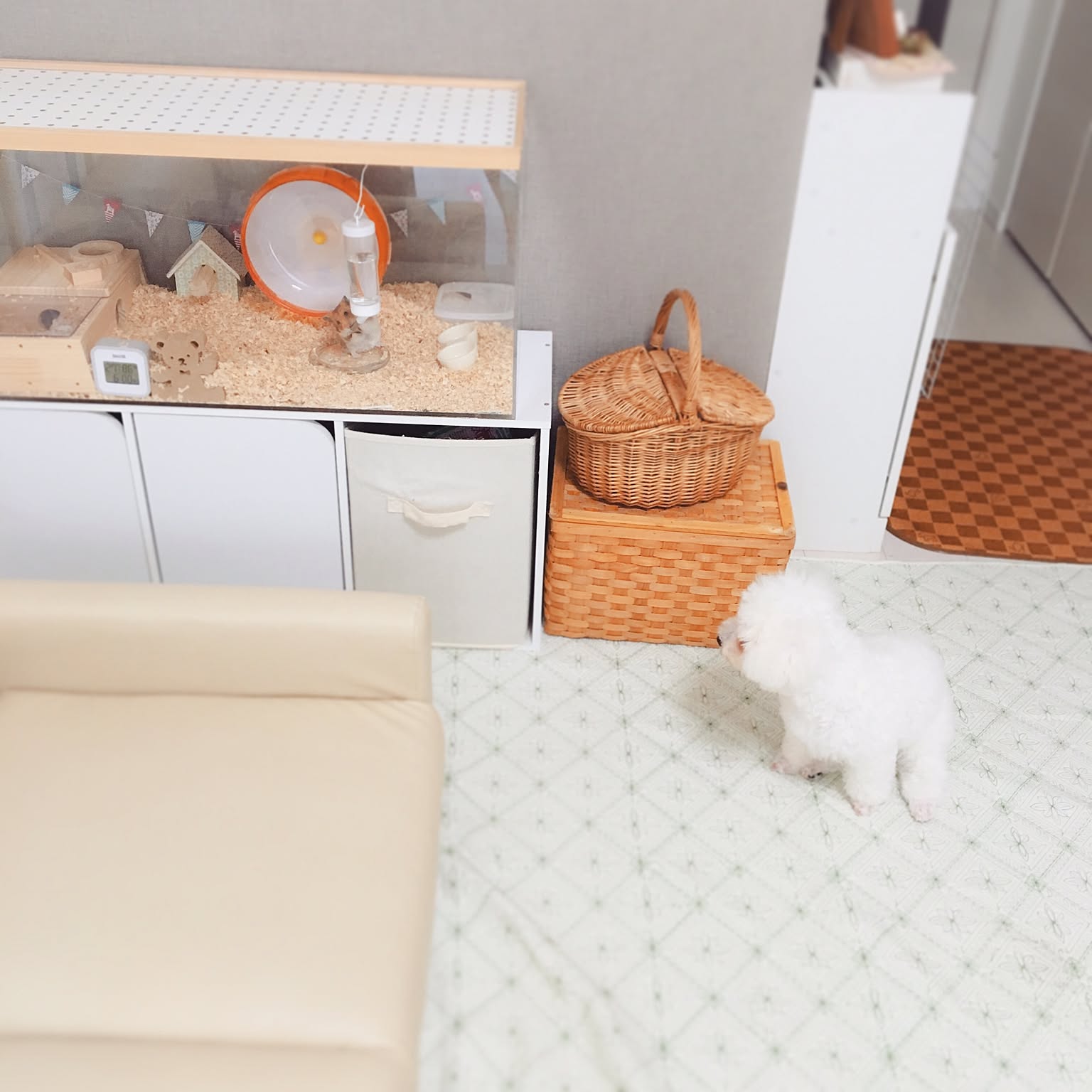 ハムスター/ゴールデンハムスター/ハムスターハウス/ペットインテリア/ハムスターのお家&hellip;などのインテリア実例 20160718