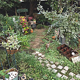 gardenの写真