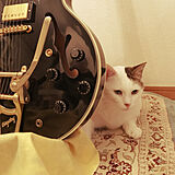 ギターの写真