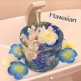 ハワイアンの写真