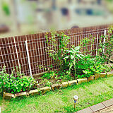 庭DIYの参考の写真
