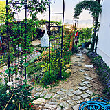 庭の写真