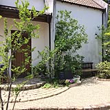 お庭の写真