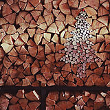 クリスマス使用薪の写真