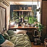 bedroomの写真