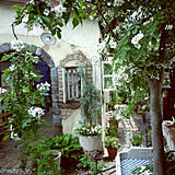 庭、ベランダの写真