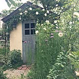 小屋の写真