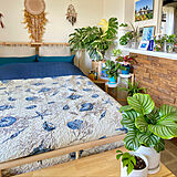 植物と部屋の写真