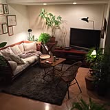 living roomの写真