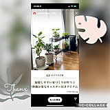 インスタ掲載の写真