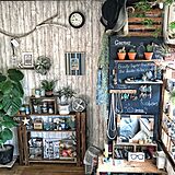 観葉植物のある部屋の写真