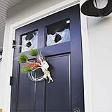 ドアの色 検討用の写真