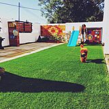 芝生×コンクリートの写真