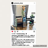 インスタ掲載の写真