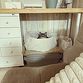 ペットベッド手作り/ペットベッド/猫のベッド/さちまる/ベッド周りのインテリア実例 - 2023-02-06 22:09:20