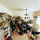 Bang & Olufsen/ZARA HOME/収納/観葉植物のある暮らし/IKEA...などのインテリア実例 - 2023-02-05 12:03:21