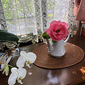 ピンクの薔薇/資生堂の香水/芳純/日の光/好きな時間...などのインテリア実例 - 2022-05-26 06:50:22