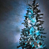 安らぎの時間/ダイソー/クリスマスツリー150cm/ニトリ/クリスマスツリー...などのインテリア実例 - 2022-12-05 21:40:11