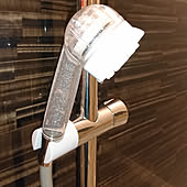 ミストシャワー 節水シャワーヘッド ディズニーホテルふう バス トイレのインテリア実例 19 12 05 08 12 15 Roomclip ルームクリップ