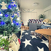 クリスマスツリー/IKEA/クリスマス/ゴールデンレトリバー/犬と暮らす...などのインテリア実例 - 2022-12-04 08:30:53