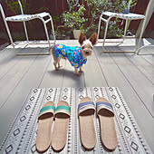 いぬがいる日常 いぬと暮らす 犬服 犬鑑札入れ マルプー のインテリア実例 18 08 19 00 17 43 Roomclip ルームクリップ いぬがいる日常 いぬと暮らす 犬服 犬鑑札入れ マルプー のインテリア実例 18 08 19 00 17 43 Roomclip ルームクリップ