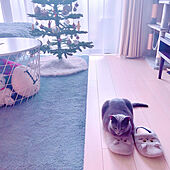 IKEA/ラグ/クリスマスツリー/ルームシューズ/動物が好き...などのインテリア実例 - 2022-12-03 11:32:40