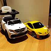 部屋全体 ランボルギーニ スーパーカー ピンクの車 キラキラど派手の外車のインテリア実例 18 04 19 18 54 03 Roomclip ルームクリップ