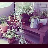 玄関 入り口 コーナン フラワースタンド ベランダガーデニング グリーン初心者 などのインテリア実例 14 05 04 09 01 58 Roomclip ルームクリップ