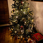 クリスマスツリー/クリスマスツリー150cm/リビングのインテリア実例 - 2022-11-28 20:43:08